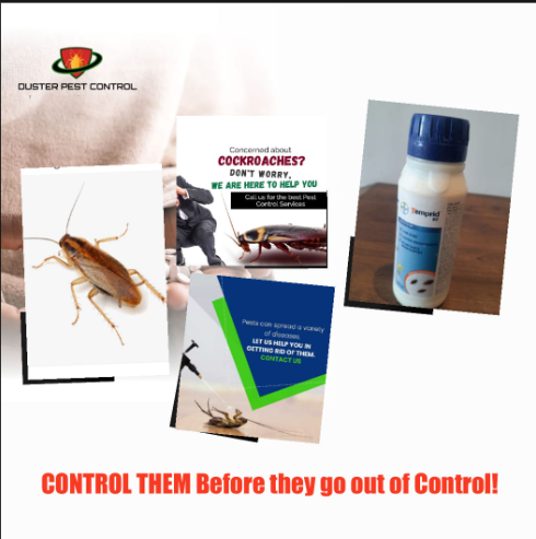 Ant trail mapped before gel baiting